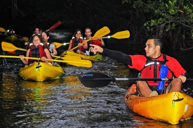 Two-in-One Day Trip: El Yunque and Bio Bay Tour with Transport - Who should book this day trip