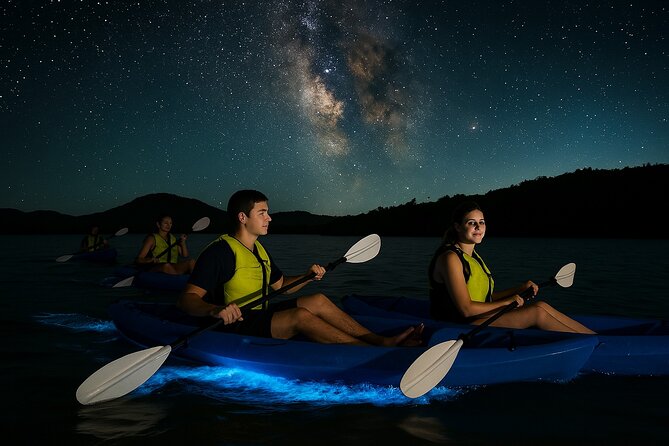 Unforgettable One Day Bioluminescent Kayak Adventure in Vieques - Key points before you book