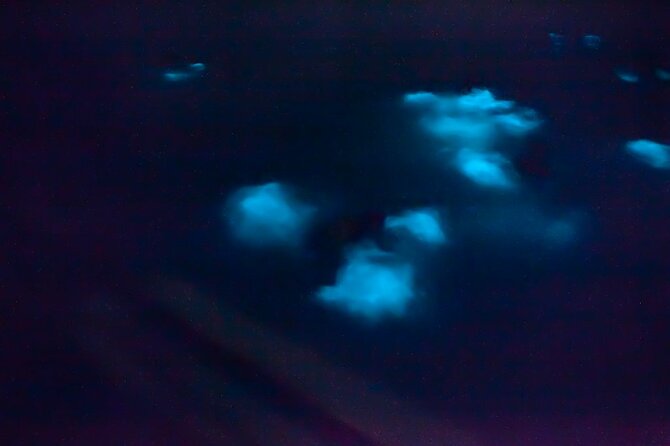 Unforgettable One Day Bioluminescent Kayak Adventure in Vieques - The one-hour paddle at Bahía Bioluminiscente