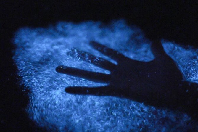 Unforgettable One Day Bioluminescent Kayak Adventure in Vieques - What the $60 price really covers