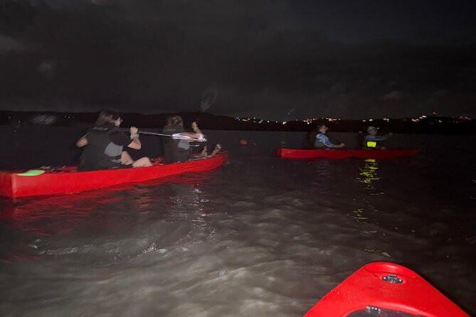 Unforgettable One Day Bioluminescent Kayak Adventure in Vieques - Who will enjoy this most
