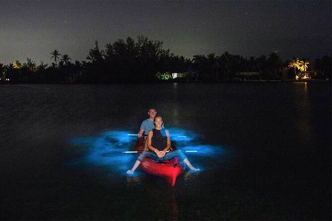 Unforgettable One Day Bioluminescent Kayak Adventure in Vieques - Guides who add more than basic safety
