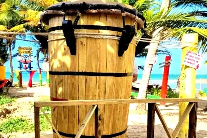 "Unique Tour" Loiza, Cultue, Art & Bomba Dance Class on The Beach - What the $189.99 price covers