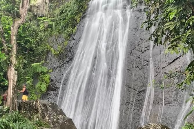 USDA El Yunque National Forest and Luquillo Beach Tour - La Coca Falls: a dramatic first stop