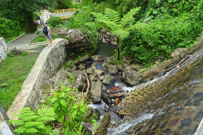 USDA El Yunque National Forest and Luquillo Beach Tour - Two hours at Luquillo Beach