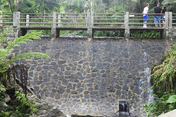USDA El Yunque National Forest and Luquillo Beach Tour - Who will enjoy this six-hour outing
