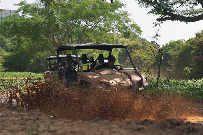 UTV adventure in Naguabo Puerto Rico 50 minutes trip 80 acres - Staff, safety, and the family question