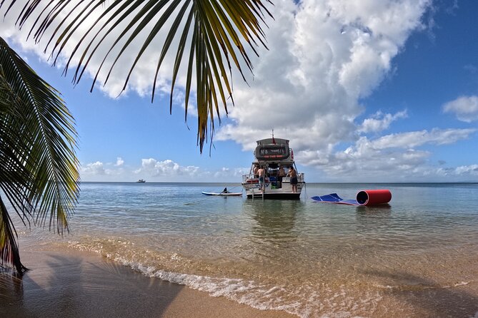 Vieques All-Inclusive: Swim with Turtles & Enjoy Pristine Beaches - Key points before you book