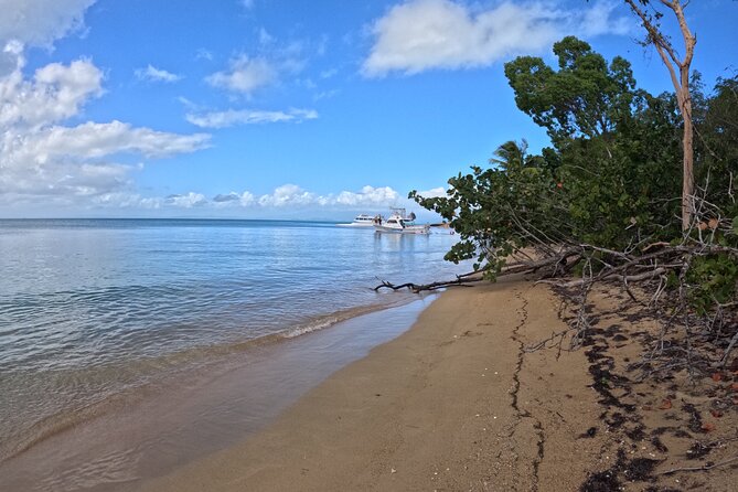 Vieques All-Inclusive: Swim with Turtles & Enjoy Pristine Beaches - Leaving Fajardo early for Vieques