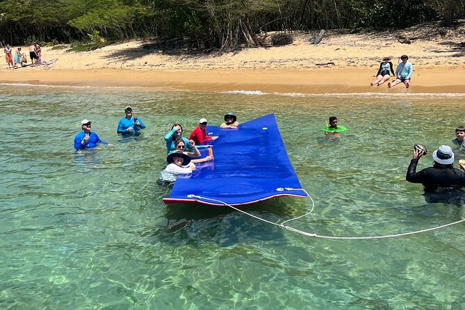 Vieques All-Inclusive: Swim with Turtles & Enjoy Pristine Beaches - Beach time, tropical drinks, and the slower half of the day