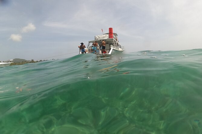 Vieques All-Inclusive: Swim with Turtles & Enjoy Pristine Beaches - What happens if Vieques is not the right route