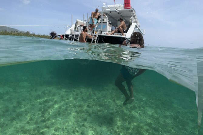 Vieques All-Inclusive: Swim with Turtles & Enjoy Pristine Beaches - Is $185 a fair price?
