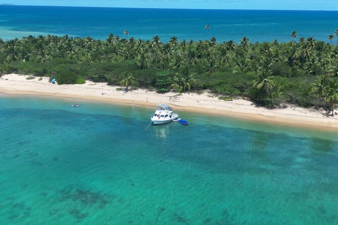 Vieques All-Inclusive: Swim with Turtles & Enjoy Pristine Beaches - Practical details that can make or break the morning