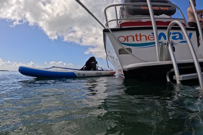 Vieques All-Inclusive: Swim with Turtles & Enjoy Pristine Beaches - The Vieques snorkeling stop and the turtle question
