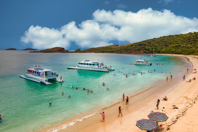 Vieques: Beach and Snorkeling Tour by Catamaran from Fajardo - Timing, fitness, and practical preparation