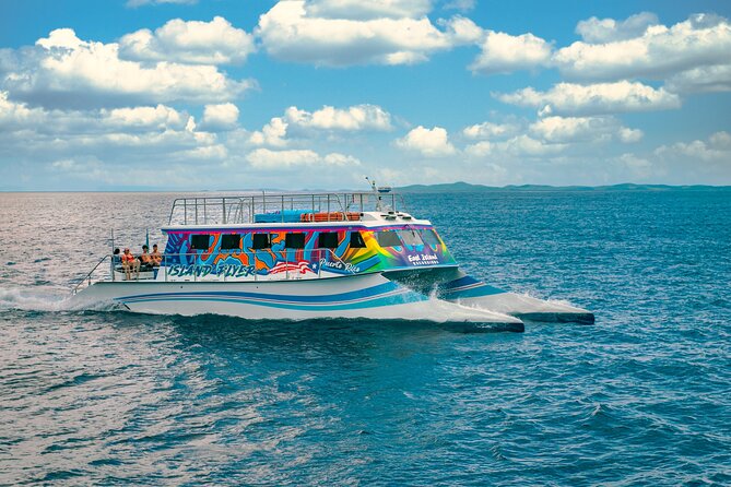 Vieques: Beach and Snorkeling Tour by Catamaran from Fajardo - Who will enjoy this catamaran day most?