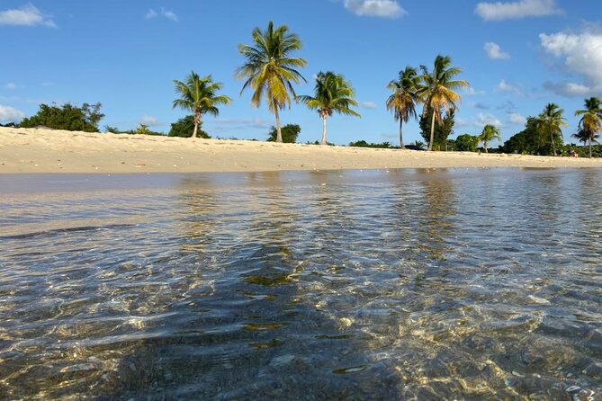 Vieques Bio Bay Tour and Beach Day Trip from San Juan by Ferry - The 12-hour route from San Juan to Ceiba