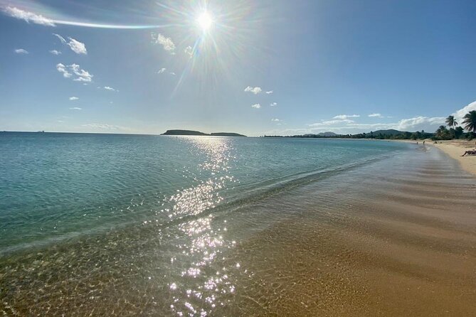 Vieques Bio Bay Tour and Beach Day Trip from San Juan by Ferry - Clear-bottom kayaking in Puerto Mosquito