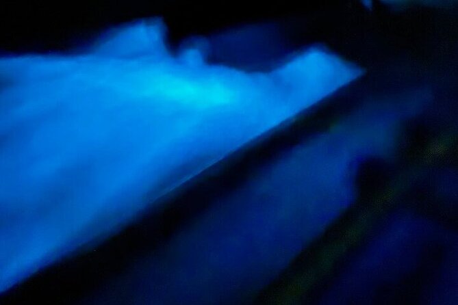 Vieques island Biobay Kayaking Tour - Why Mosquito Bay glows after dark