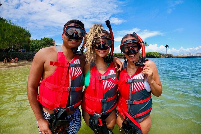 VIP San Juan: Snorkeling Tour with Turtles with Free Videos - Morning conditions and the visibility question