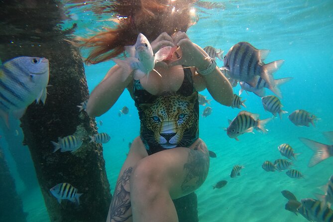 VIP San Juan: Snorkeling Tour with Turtles with Free Videos - Public water, personal attention