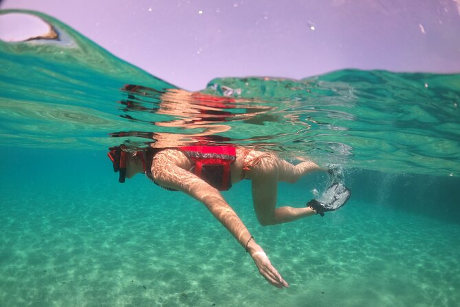 VIP San Juan: Snorkeling Tour with Turtles with Free Videos - Who should book this San Juan snorkeling trip