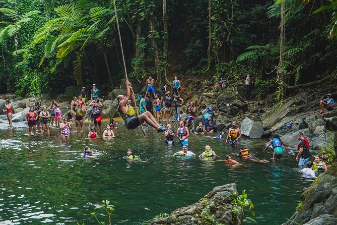 VIP Small Group El Yunque Rainforest Adventure - Why this El Yunque day feels different