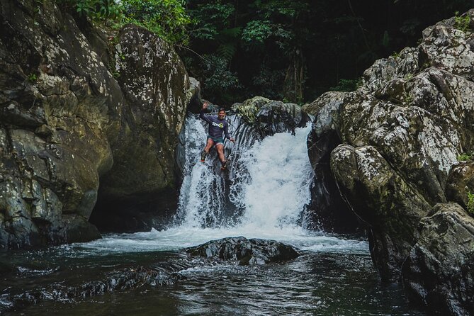 VIP Small Group El Yunque Rainforest Adventure - What the guides add to the day