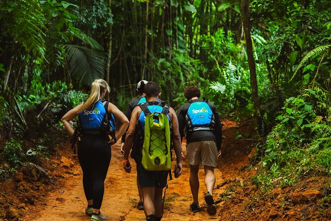 VIP Small Group El Yunque Rainforest Adventure - The 30-minute walk through El Yunque