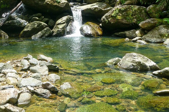 Waterfall Hike in Remote Area of El Yunque Rainforest; San Juan - From Condado to the rainforest interior
