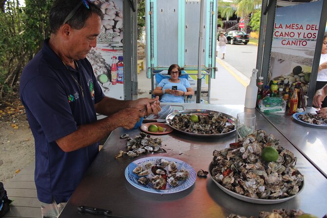 West Side Experience Puerto Rico Day Tour - Why this west coast day trip is worth considering