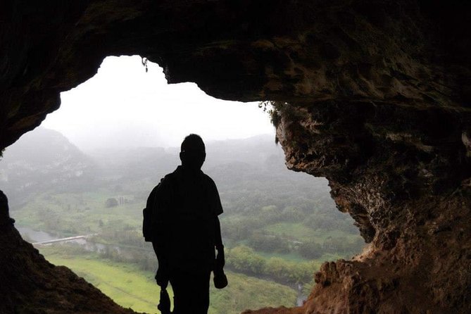 Window Cave Walking Tour from San Juan - Taíno petroglyphs along the route