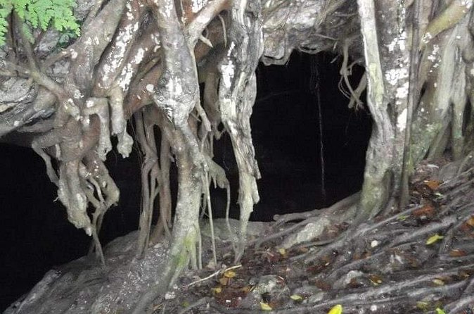 Window Cave Walking Tour from San Juan - Who will enjoy this outing most