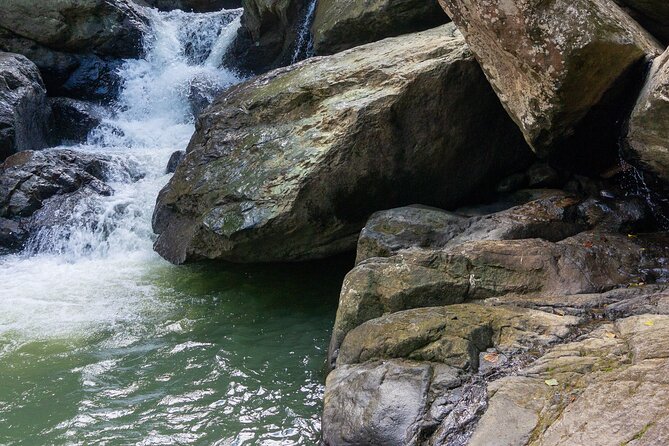 Yunque & Piñones Tour Hike Eat & Adventure with a Local; San Juan - What the guides add to the day
