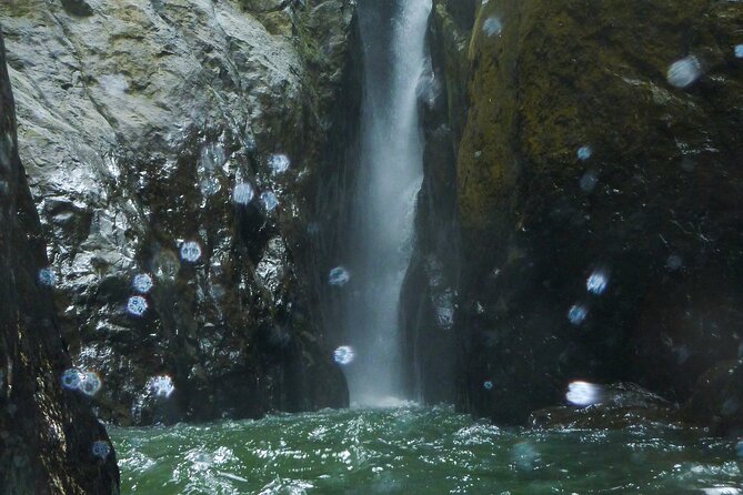 Yunque & Piñones Tour Hike Eat & Adventure with a Local; San Juan - Is $160 a fair price?