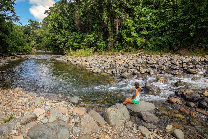 Yunque Rainforest River Rope Swing with Waterslide and Beach Tour - Why this tour feels different from a standard El Yunque visit