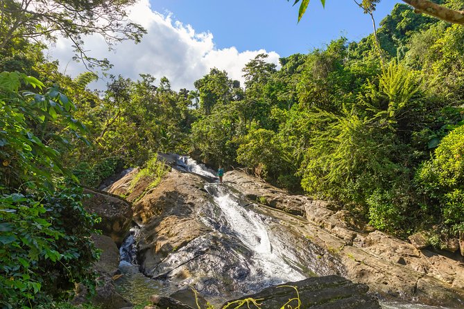 Yunque Rainforest River Rope Swing with Waterslide and Beach Tour - Yamile’s role in the experience