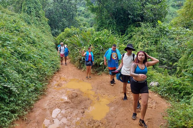 Yunque Rainforest Tour in Puerto Rico - Which guide might shape your day