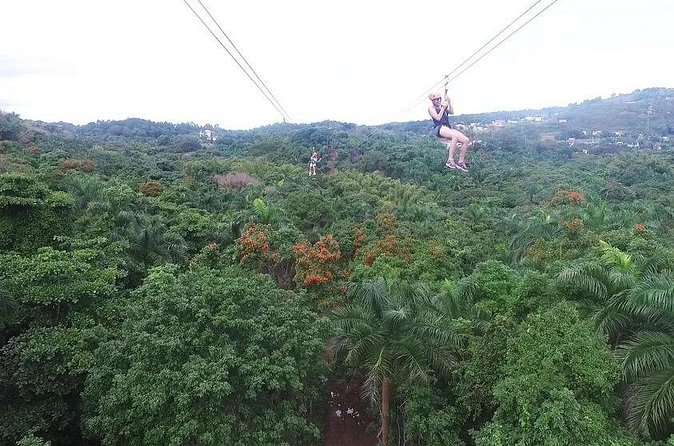 Zipline Canopy Tour with Transport from San Juan - Who will enjoy this most?