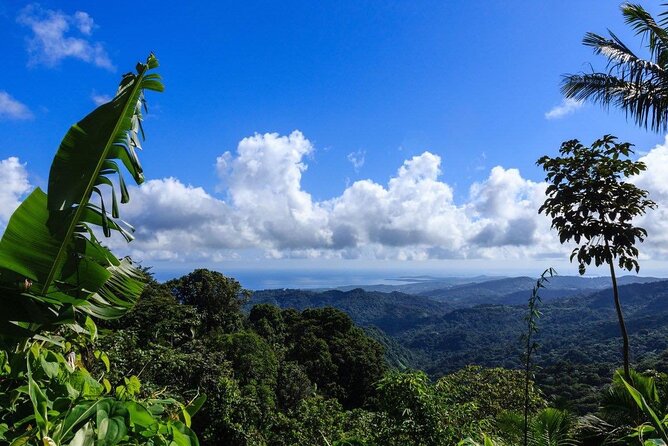 Zipline Canopy Tour with Transport from San Juan - Booking, cancellations, and small planning details