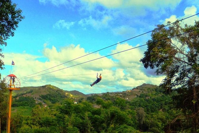 Zipline Canopy Tour with Transport from San Juan - Eight lines, with the best views saved for later