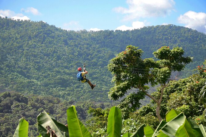 Ziplining at the Rainforest in Puerto Rico - Key points before you book