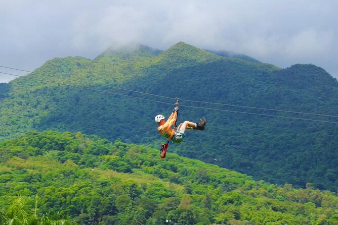 Ziplining at the Rainforest in Puerto Rico - Five ziplines above Luquillo’s rainforest