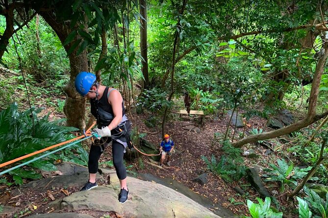 Ziplining at the Rainforest in Puerto Rico - Guides, safety gear, and the human side of the tour