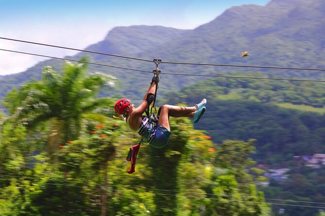 Ziplining at the Rainforest in Puerto Rico - Is $149 a fair price?