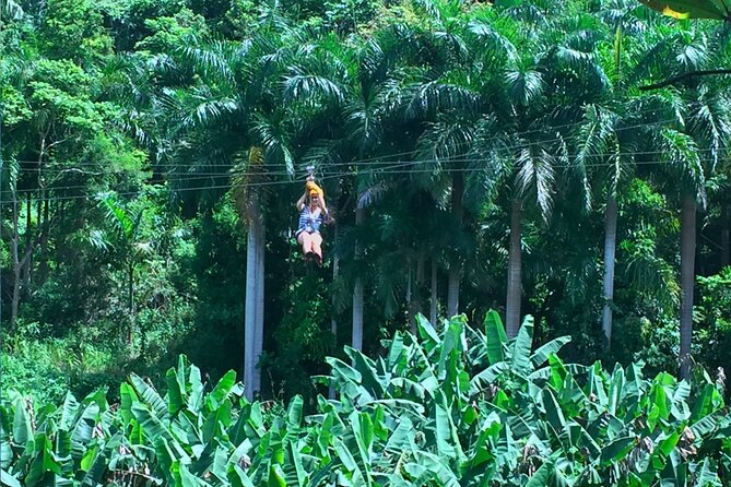 Ziplining at the Rainforest in Puerto Rico - Who will enjoy this most?