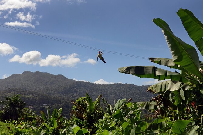 Ziplining at the Rainforest in Puerto Rico - The rappel and canopy bridge add useful variety
